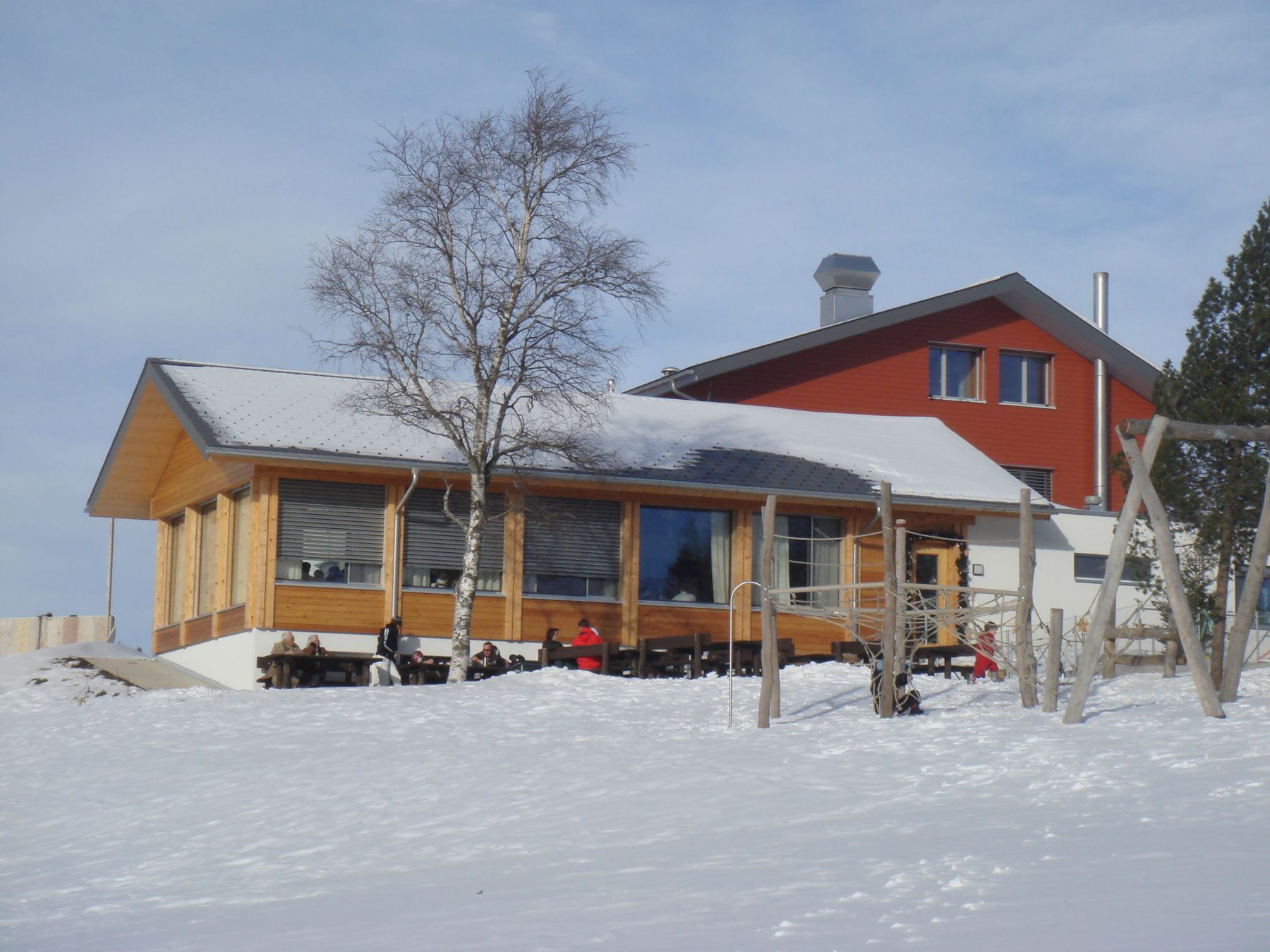 Raten DSC01951